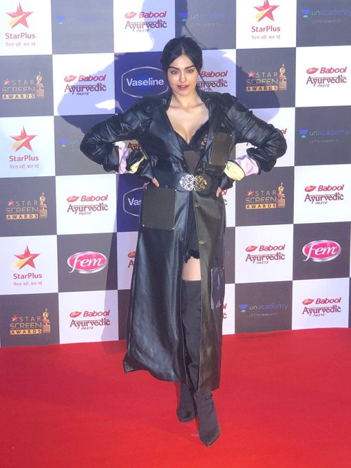 Star Screen Awards 2019, Star Screen Awards Photos 2019, Star Screen